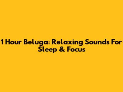 1 Hour Beluga: Relaxing Sounds For Sleep & Focus