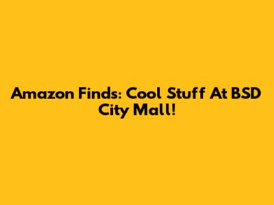Amazon Finds: Cool Stuff At BSD City Mall!