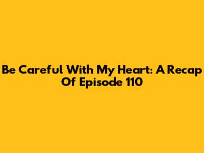 Be Careful With My Heart: A Recap Of Episode 110
