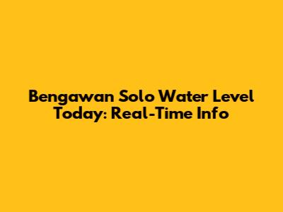 Bengawan Solo Water Level Today: Real-Time Info