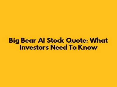 Big Bear AI Stock Quote: What Investors Need To Know