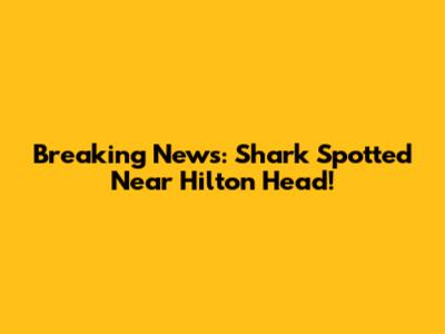 Breaking News: Shark Spotted Near Hilton Head!