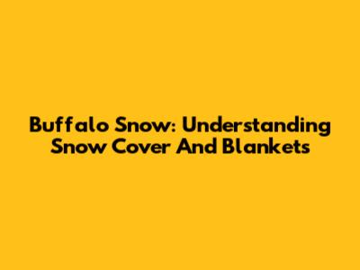 Buffalo Snow: Understanding Snow Cover And Blankets