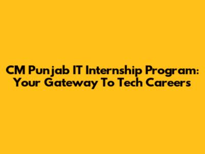 CM Punjab IT Internship Program: Your Gateway To Tech Careers