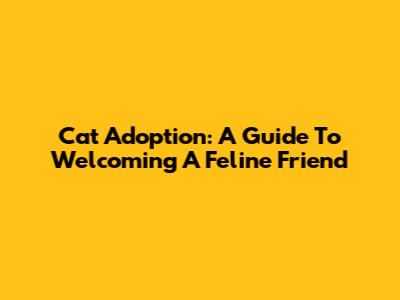 Cat Adoption: A Guide To Welcoming A Feline Friend