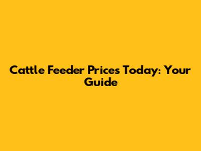 Cattle Feeder Prices Today: Your Guide