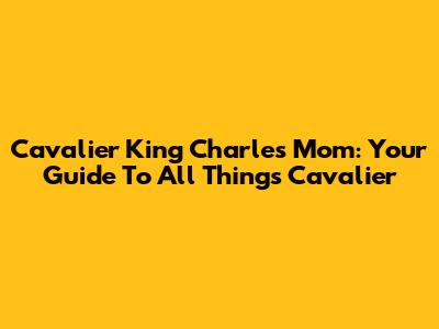 Cavalier King Charles Mom: Your Guide To All Things Cavalier