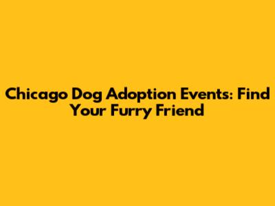 Chicago Dog Adoption Events: Find Your Furry Friend