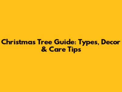 Christmas Tree Guide: Types, Decor & Care Tips