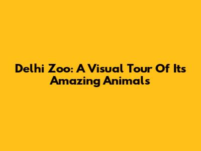 Delhi Zoo: A Visual Tour Of Its Amazing Animals