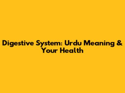 Digestive System: Urdu Meaning & Your Health