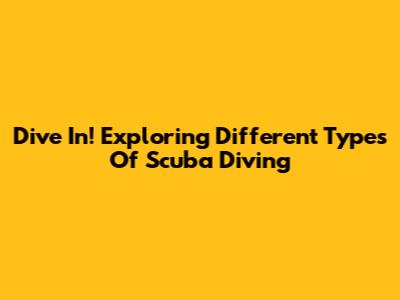 Dive In! Exploring Different Types Of Scuba Diving