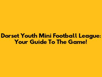 Dorset Youth Mini Football League: Your Guide To The Game!