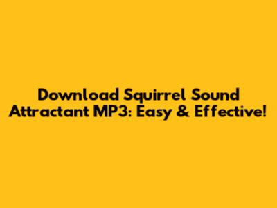 Download Squirrel Sound Attractant MP3: Easy & Effective!