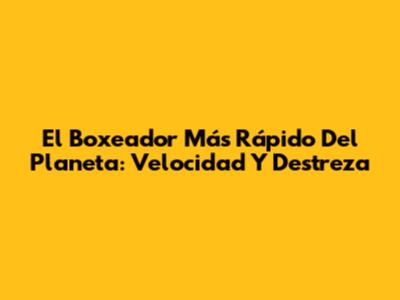 El Boxeador Más Rápido Del Planeta: Velocidad Y Destreza
