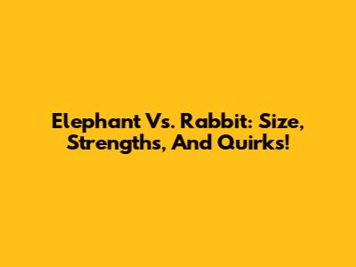 Elephant Vs. Rabbit: Size, Strengths, And Quirks!