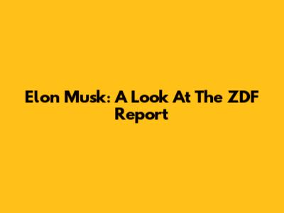 Elon Musk: A Look At The ZDF Report
