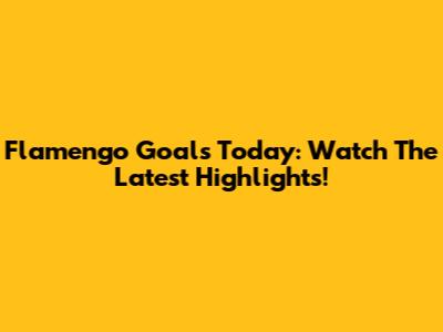 Flamengo Goals Today: Watch The Latest Highlights!
