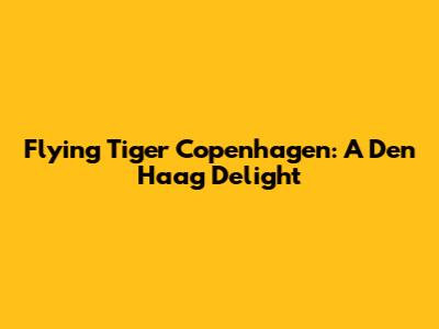 Flying Tiger Copenhagen: A Den Haag Delight