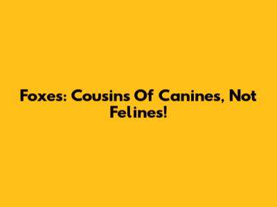 Foxes: Cousins Of Canines, Not Felines!
