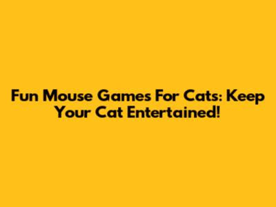Fun Mouse Games For Cats: Keep Your Cat Entertained!