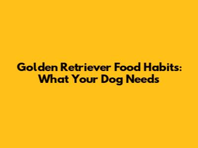Golden Retriever Food Habits: What Your Dog Needs
