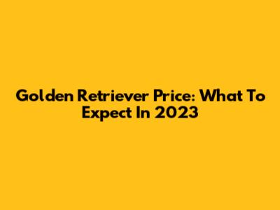 Golden Retriever Price: What To Expect In 2023