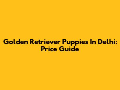 Golden Retriever Puppies In Delhi: Price Guide