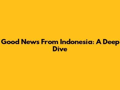 Good News From Indonesia: A Deep Dive