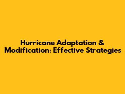 Hurricane Adaptation & Modification: Effective Strategies