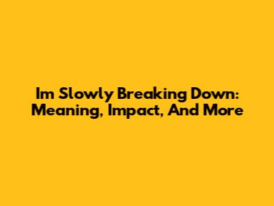 I'm Slowly Breaking Down: Meaning, Impact, And More
