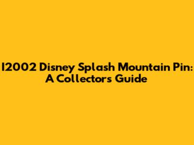 I2002 Disney Splash Mountain Pin: A Collector's Guide