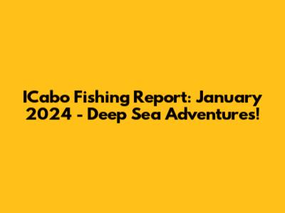 ICabo Fishing Report: January 2024 - Deep Sea Adventures!