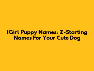 IGirl Puppy Names: Z-Starting Names For Your Cute Dog