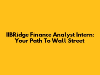IIBRidge Finance Analyst Intern: Your Path To Wall Street
