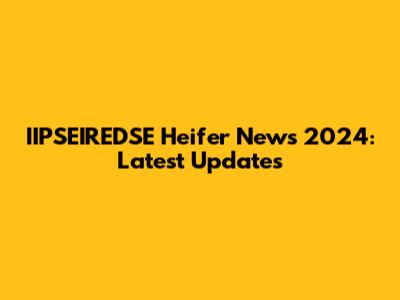 IIPSEIREDSE Heifer News 2024: Latest Updates