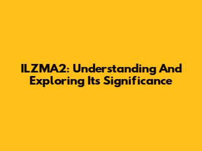 ILZMA2: Understanding And Exploring Its Significance
