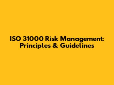 ISO 31000 Risk Management: Principles & Guidelines