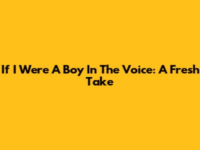 If I Were A Boy In The Voice: A Fresh Take
