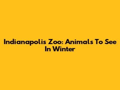 Indianapolis Zoo: Animals To See In Winter