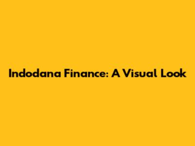 Indodana Finance: A Visual Look