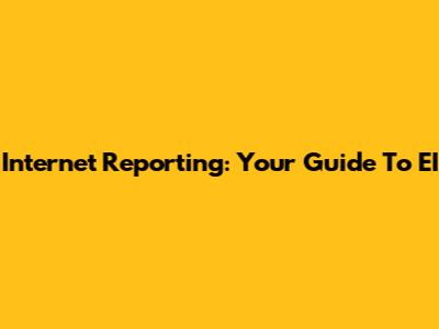 Internet Reporting: Your Guide To EI