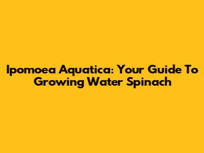 Ipomoea Aquatica: Your Guide To Growing Water Spinach