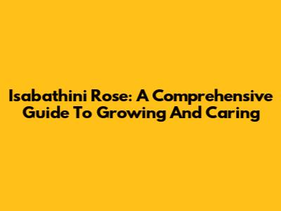 Isabathini Rose: A Comprehensive Guide To Growing And Caring