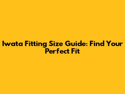 Iwata Fitting Size Guide: Find Your Perfect Fit