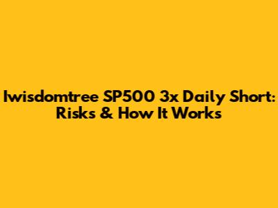 Iwisdomtree SP500 3x Daily Short: Risks & How It Works