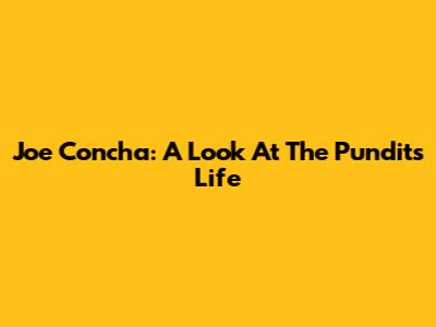 Joe Concha: A Look At The Pundit's Life