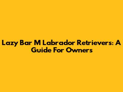 Lazy Bar M Labrador Retrievers: A Guide For Owners