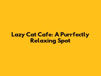 Lazy Cat Cafe: A Purrfectly Relaxing Spot