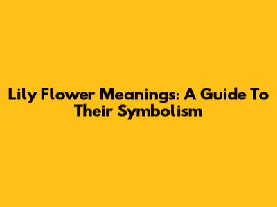 Lily Flower Meanings: A Guide To Their Symbolism